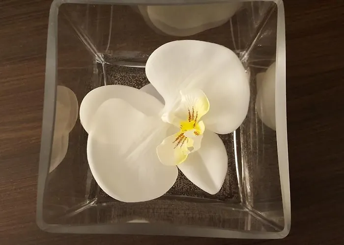 Pensión Finestra Su Monti 4*